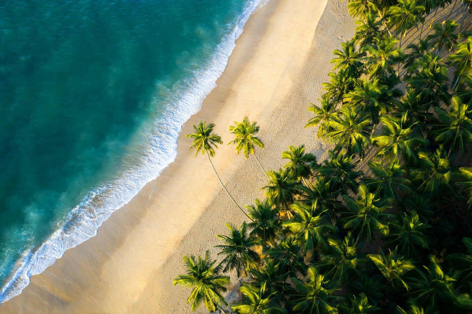 Coastal Paradise