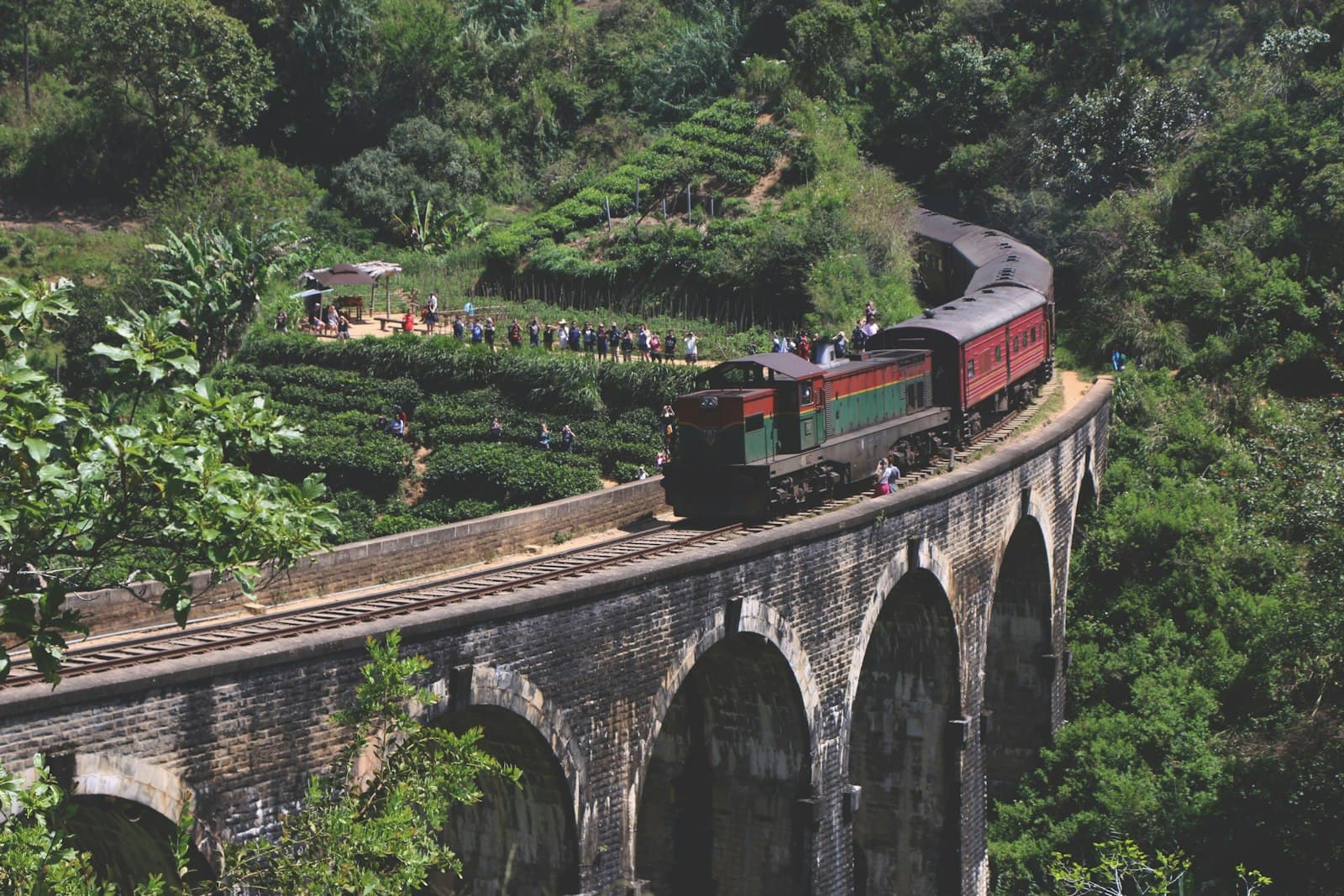 Tea Country Train